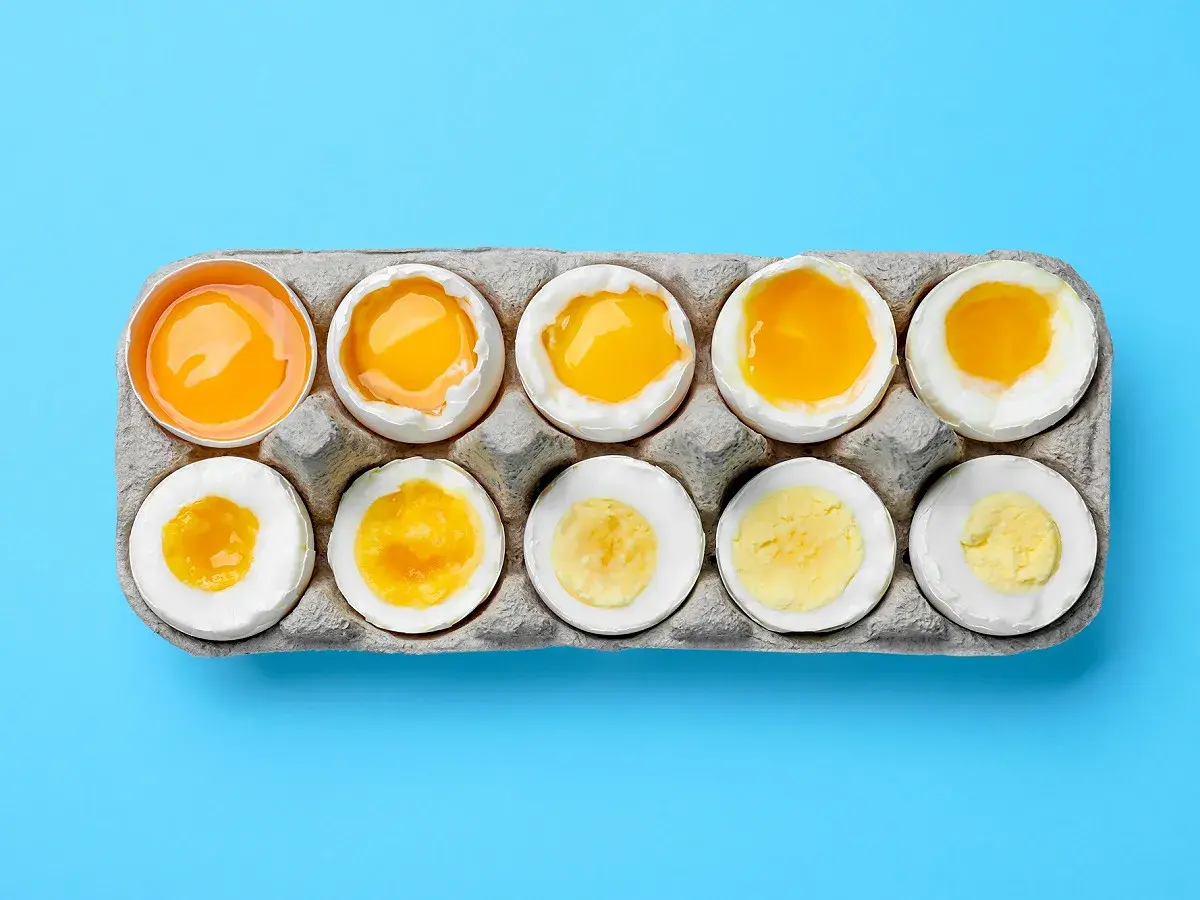 Dix œufs dans une boîte, du cru au dur, montrant la variation de la texture et de la couleur du jaune. Le **calorie œuf** change selon sa cuisson.