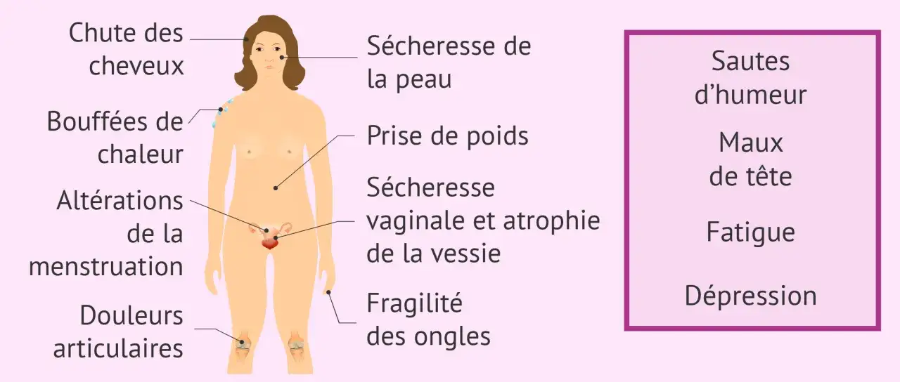 Illustration des symptômes de la ménopause : chute de cheveux, sécheresse de la peau, prise de poids, bouffées de chaleur, etc. Le danger des bouffées de chaleur est une manifestation courante.