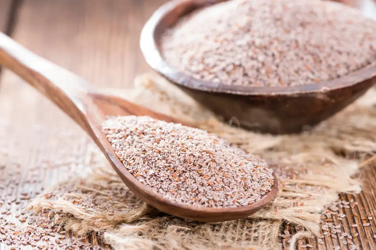 Une cuillère en bois déborde de psyllium, une fibre naturelle. Le psyllium, c'est quoi ? Ces petites graines sont une aide précieuse pour la digestion.