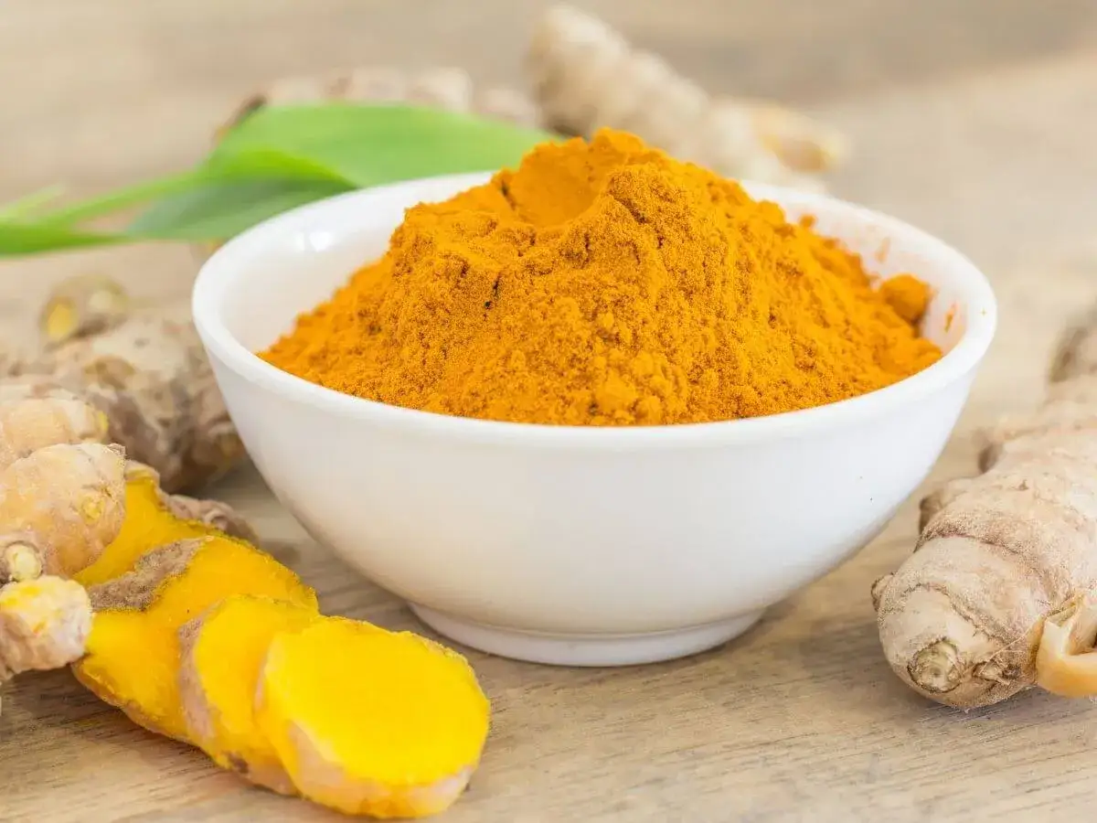 Poudre de curcuma dans un bol blanc, entourée de racines de gingembre fraîches. Idéal pour la digestion.