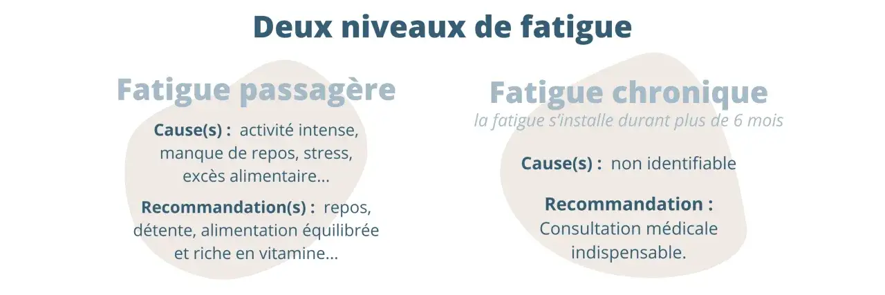 Deux niveaux de fatigue : passagère (causes : stress, manque de repos) et chronique (plus de 6 mois, cause non identifiable). La fatigue quotidienne peut être gérée.