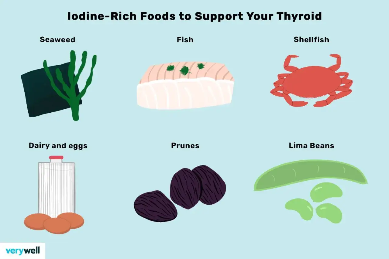 Aliments riches en iode : algues, poisson, fruits de mer, produits laitiers, œufs, pruneaux et haricots de Lima. Découvrez les bienfaits de l'iode pour votre thyroïde.