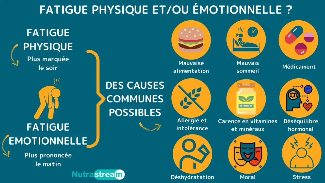 Illustration des causes de grosse fatigue soudaine : mauvaise alimentation, sommeil, médicaments, allergies, carences, déséquilibres hormonaux, déshydratation, moral et stress.