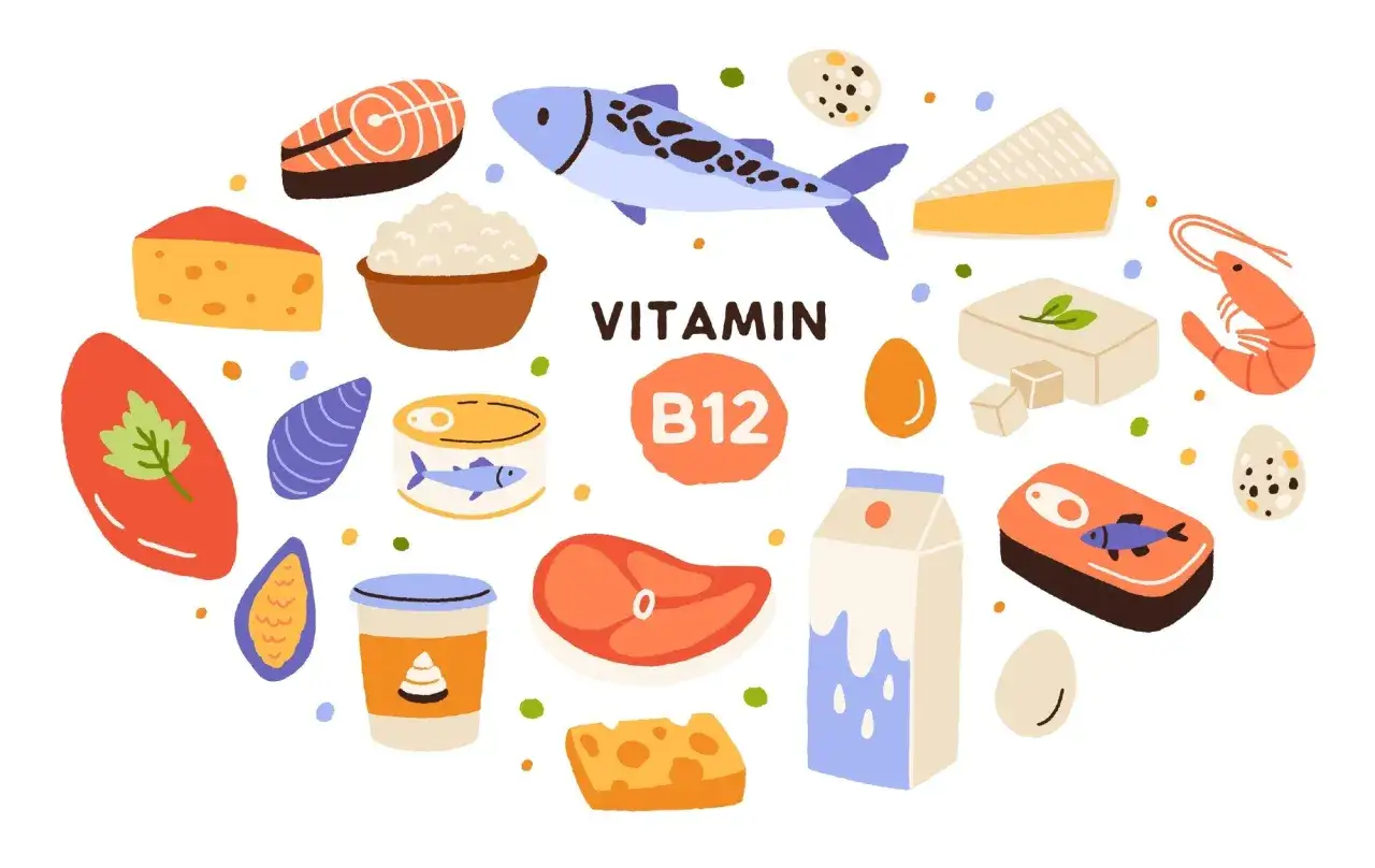 Aliments riches en vitamine B12 : poisson, viande, fromage, œufs, produits laitiers, crevettes. Essentielle pour le système nerveux et la formation des globules rouges.
