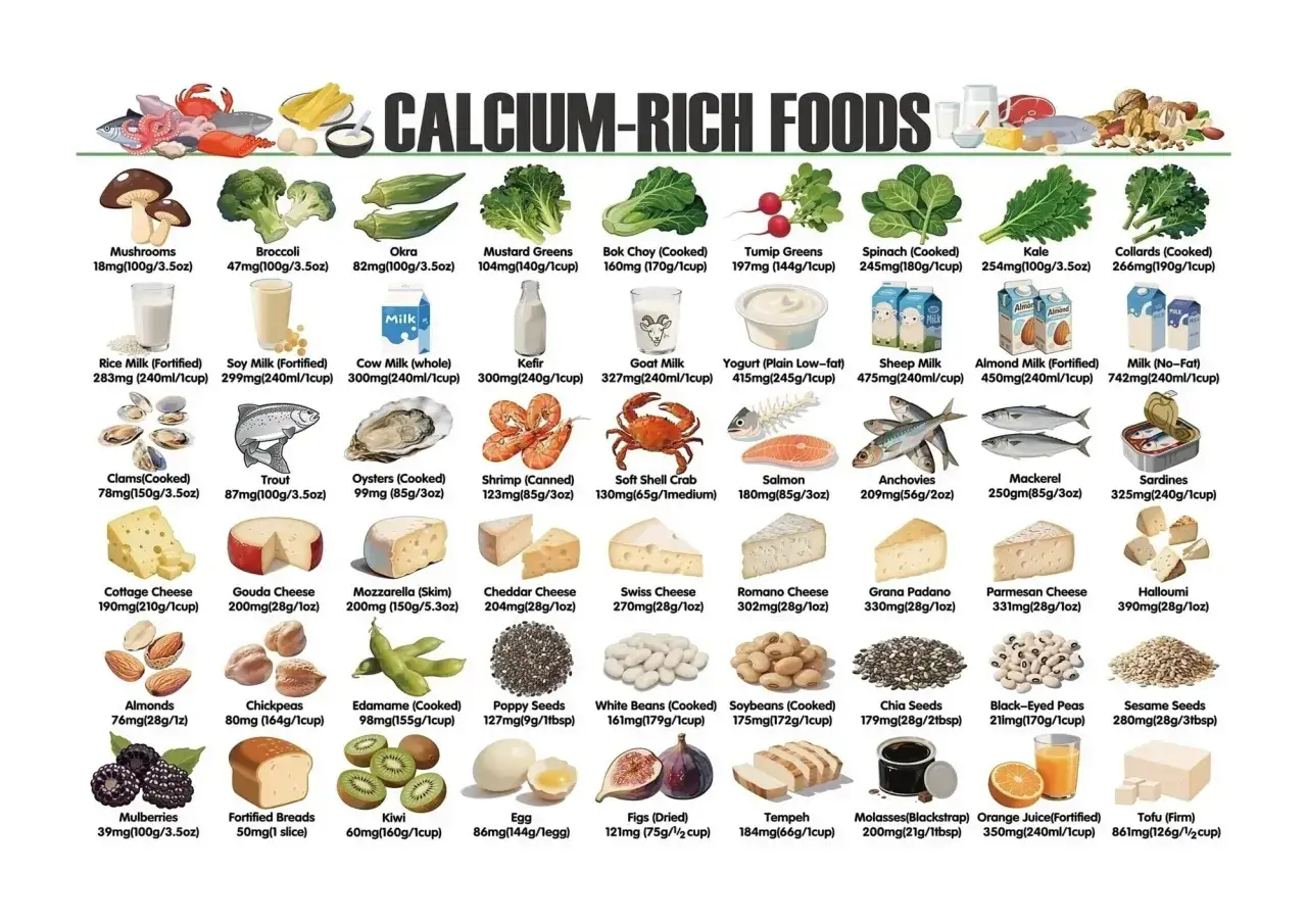 Légumes verts, produits laitiers, poissons et noix : un guide visuel des aliments riches en calcium pour une alimentation équilibrée.