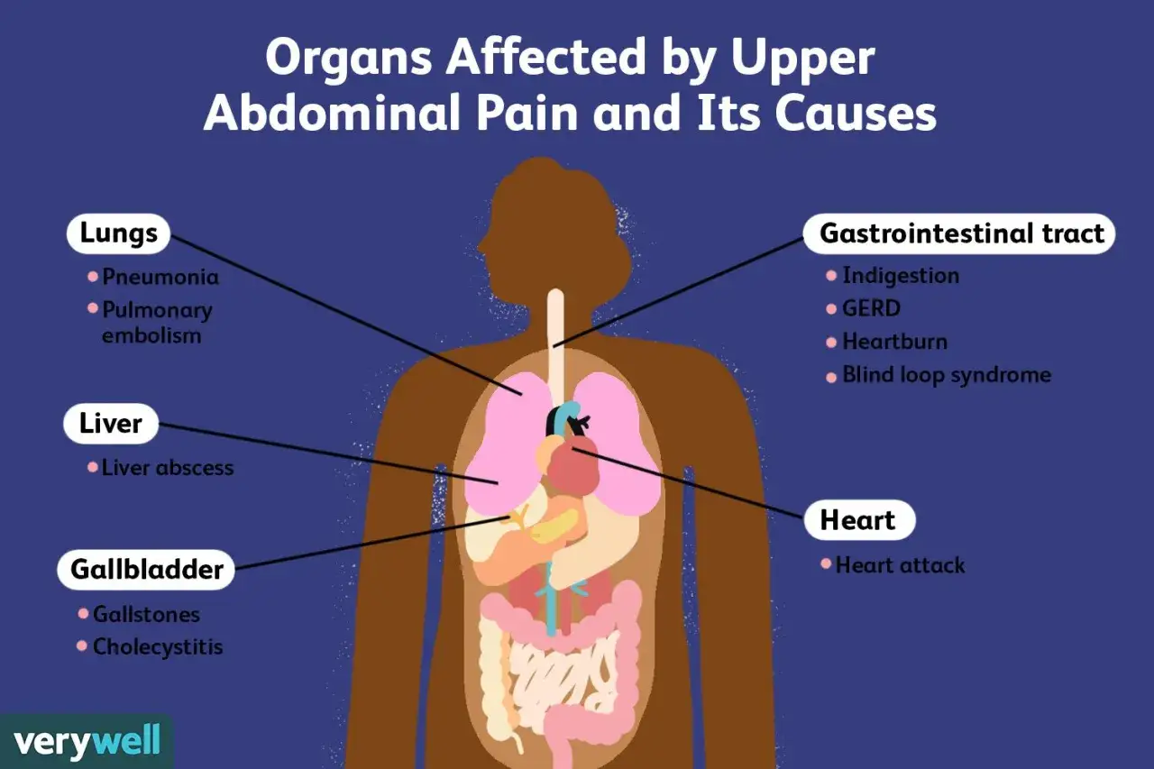 Schéma des organes affectés par une douleur en haut de l'estomac au milieu : poumons, foie, vésicule biliaire, cœur, système gastro-intestinal.