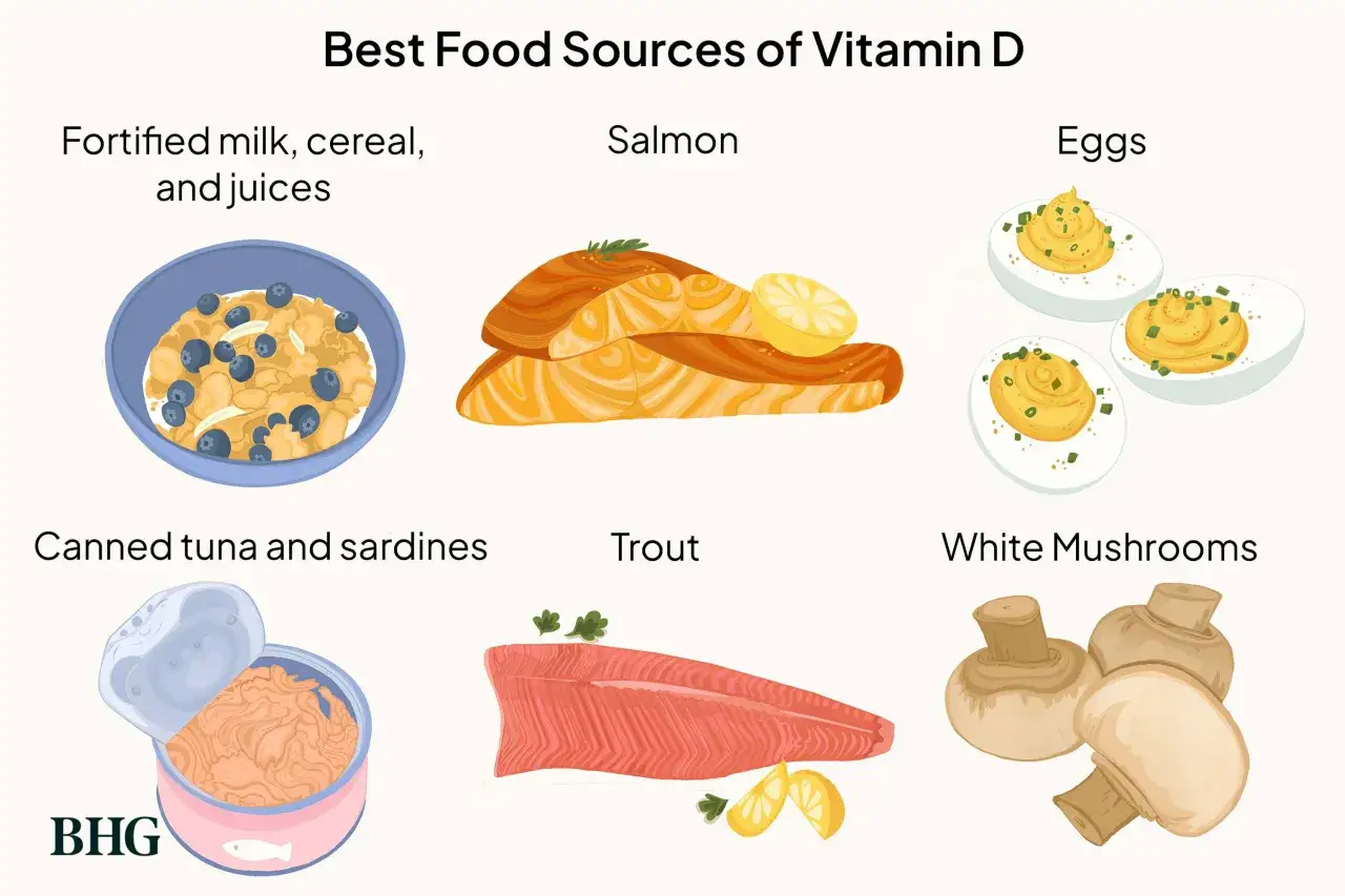 Sources de vitamine D3 : saumon, truite, &oelig;ufs, thon, sardines, c&eacute;r&eacute;ales fortifi&eacute;es, jus fortifi&eacute;s et champignons.