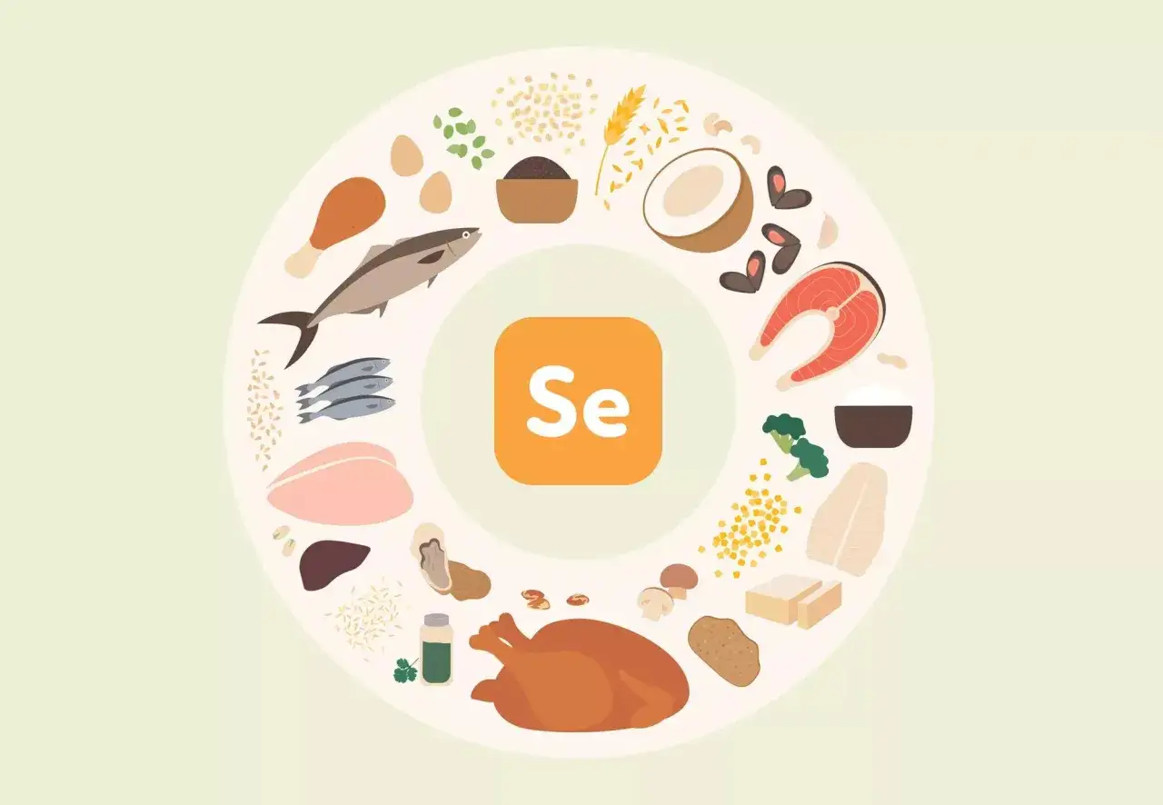 Le sélénium, essentiel mais à consommer avec modération. L'image montre des aliments riches en sélénium, comme le poisson, la volaille, les œufs, les noix et les céréales. Attention au sélénium danger si surconsommé.
