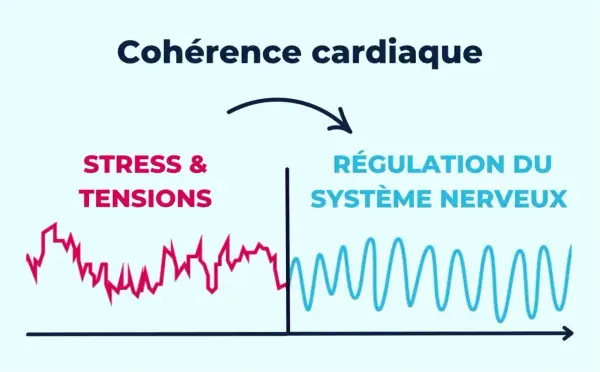 Schéma illustrant les bienfaits de la cohérence cardiaque : passage du stress à la régulation du système nerveux, symbolisé par des courbes.
