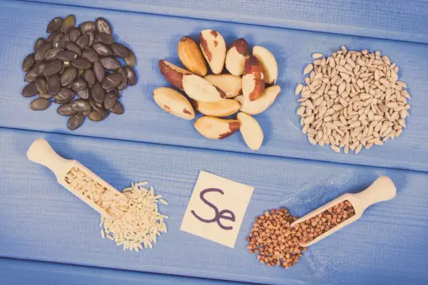 Graines de citrouille, noix du Brésil, graines de tournesol, riz, sarrasin et la carte "Se" symbolisant le sélénium aliment.