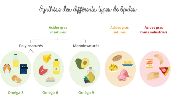 Diagramme illustrant les acides gras insaturés (oméga-3, -6, -9) et saturés, avec des exemples d'aliments.