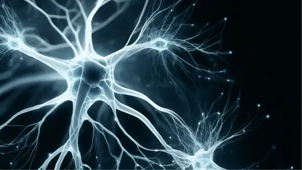 Neurone bleu lumineux, symbolisant la connexion et la transmission nerveuse. La vitamine B9 aide à gérer le stress en soutenant le système nerveux.