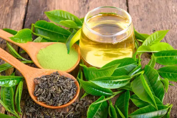 Cuillère de thé vert en vrac, poudre de matcha et verre de thé infusé, entourés de feuilles fraîches. Découvrez les thé vert bienfaits.