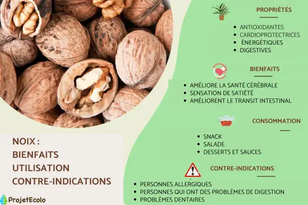 Gros plan sur des noix, mettant en avant leurs nombreux bienfaits pour la santé, comme l'amélioration de la santé cérébrale et le transit intestinal.