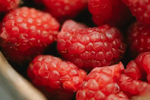 Gros plan sur des framboises juteuses, pleines de vitamines et de bienfaits pour la santé. Un délice rouge vif.