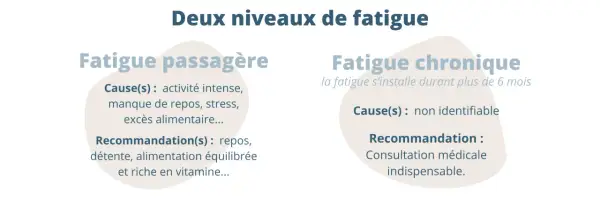 Causes de fatigue : passagère (intense activité, stress) ou chronique (non identifiable). Consultation médicale pour la fatigue persistante.