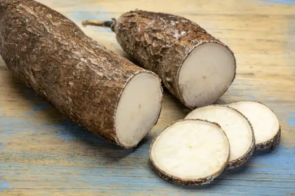 Deux racines de manioc coupées, révélant leur chair blanche. Les rondelles de manioc sur la table en bois rappellent ses nombreux manioc bienfaits nutritionnels.