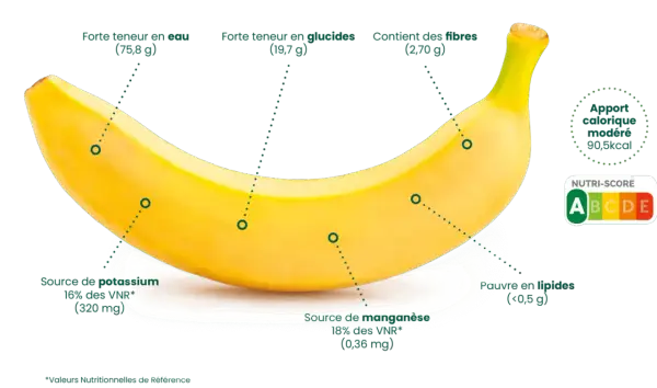 Une banane jaune, riche en eau, glucides et fibres, source de potassium et manganèse, avec un apport calorique modéré et un Nutri-Score A.