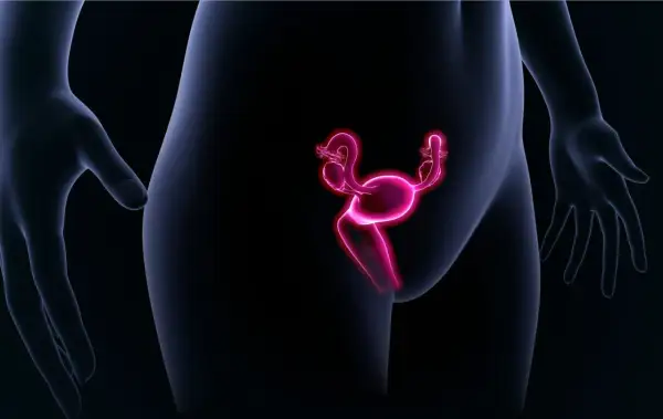 Illustration d'un utérus antéversé, organe reproducteur féminin rose vif, sur fond noir.