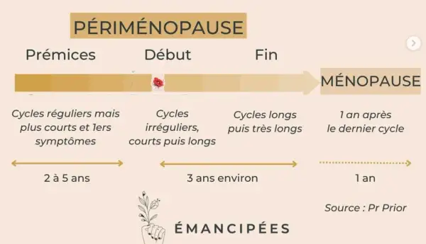 Schéma illustrant les étapes de la périménopause, de ses prémices à la ménopause, avec les changements de cycles et symptômes associés.
