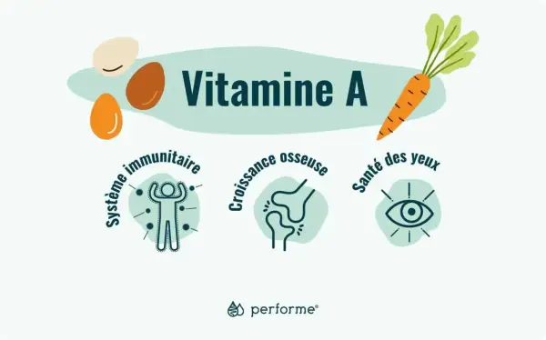 Vitamine A : essentielle pour le système immunitaire, la croissance osseuse et la santé des yeux. Carottes, œufs, et bien plus !